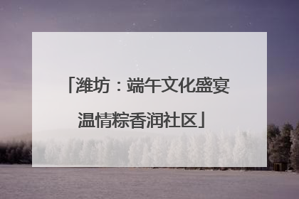 潍坊：端午文化盛宴 温情粽香润社区