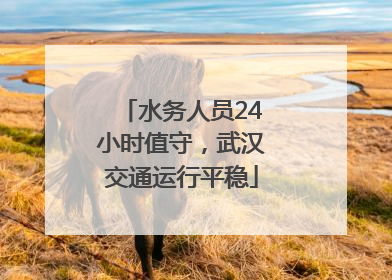 水务人员24小时值守，武汉交通运行平稳