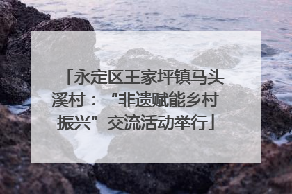 永定区王家坪镇马头溪村：“非遗赋能乡村振兴”交流活动举行