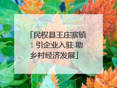 民权县王庄寨镇：引企业入驻 助乡村经济发展