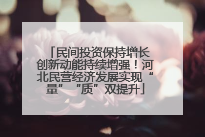 民间投资保持增长 创新动能持续增强！河北民营经济发展实现“量”“质”双提升