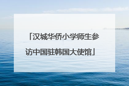 汉城华侨小学师生参访中国驻韩国大使馆