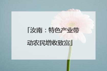 汝南：特色产业带动农民增收致富
