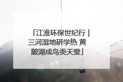 江淮环保世纪行｜三河湿地研学热 黄陂湖成鸟类天堂