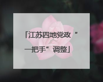 江苏四地党政“一把手”调整