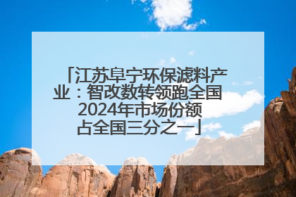 江苏阜宁环保滤料产业：智改数转领跑全国 2024年市场份额占全国三分之一