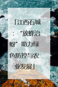 江西石城：“放蜂治蚜”助力绿色防控与农业发展