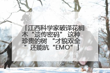 江西科学家破译花榈木“遗传密码” 这种珍贵的树 “才貌双全”还能抗“EMO”