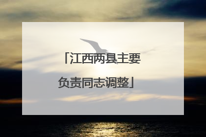 江西两县主要负责同志调整