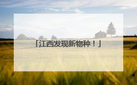江西发现新物种！
