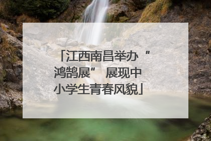 江西南昌举办“鸿鹄展” 展现中小学生青春风貌
