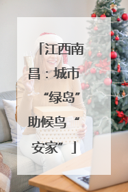 江西南昌：城市“绿岛”助候鸟“安家”