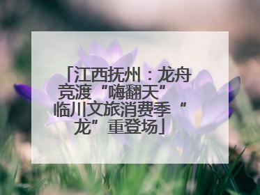 江西抚州：龙舟竞渡“嗨翻天” 临川文旅消费季“龙”重登场