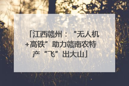 江西赣州：“无人机+高铁”助力赣南农特产“飞”出大山