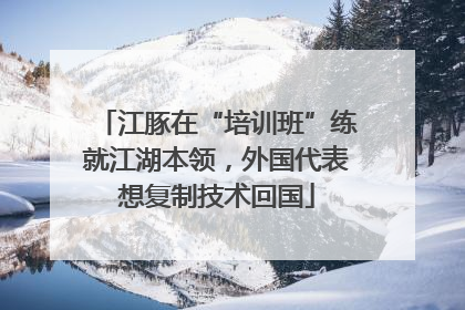 江豚在“培训班”练就江湖本领，外国代表想复制技术回国