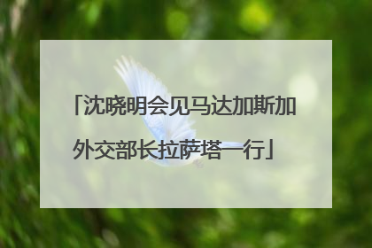 沈晓明会见马达加斯加外交部长拉萨塔一行