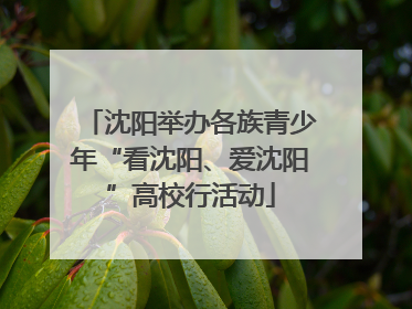 沈阳举办各族青少年“看沈阳、爱沈阳”高校行活动