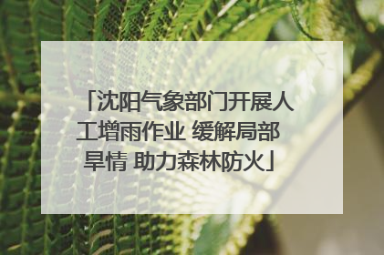 沈阳气象部门开展人工增雨作业 缓解局部旱情 助力森林防火