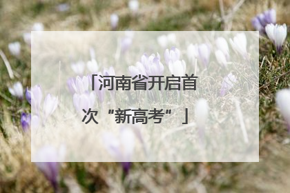 河南省开启首次“新高考”