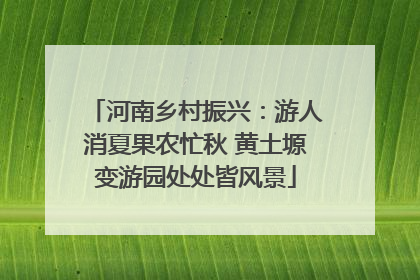 河南乡村振兴：游人消夏果农忙秋 黄土塬变游园处处皆风景