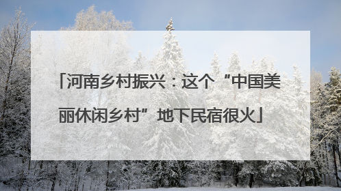 河南乡村振兴：这个“中国美丽休闲乡村”地下民宿很火
