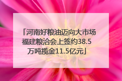 河南好粮油迈向大市场 福建粮洽会上签约38.5万吨揽金11.5亿元
