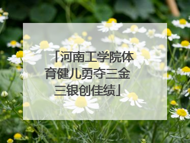 河南工学院体育健儿勇夺三金三银创佳绩