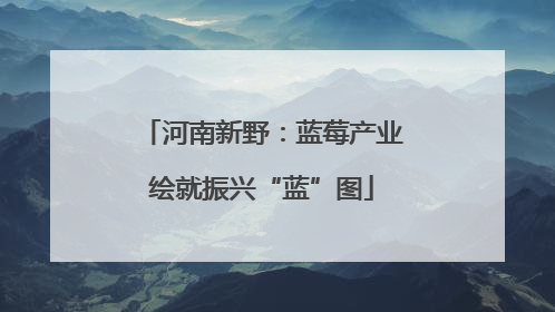 河南新野：蓝莓产业绘就振兴“蓝”图