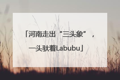 河南走出“三头象”，一头驮着Labubu