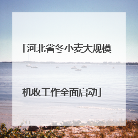 河北省冬小麦大规模机收工作全面启动