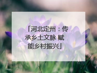 河北定州：传承乡土文脉 赋能乡村振兴