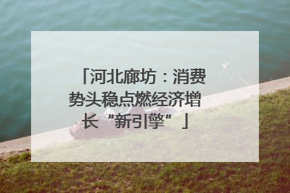 河北廊坊：消费势头稳点燃经济增长“新引擎”