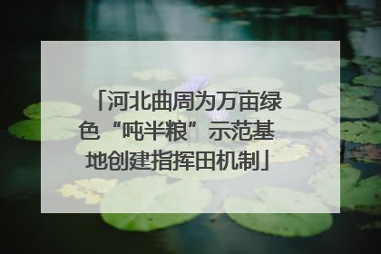 河北曲周为万亩绿色“吨半粮”示范基地创建指挥田机制
