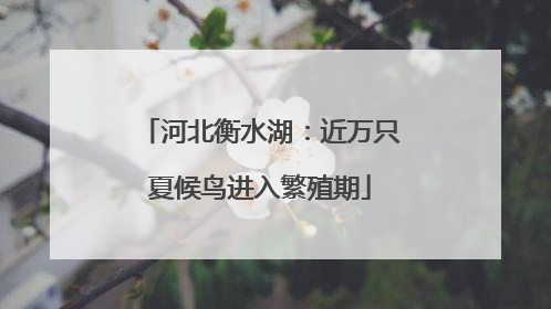 河北衡水湖：近万只夏候鸟进入繁殖期