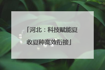 河北：科技赋能夏收夏种高效衔接