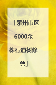 泉州市区6000余株行道树修剪