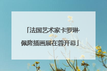 法国艺术家卡罗琳·佩隆插画展在蓉开幕
