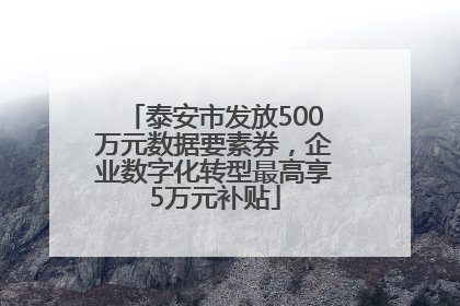 泰安市发放500万元数据要素券，企业数字化转型最高享5万元补贴