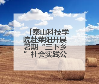 泰山科技学院赴莱阳开展暑期“三下乡”社会实践公益志愿活动
