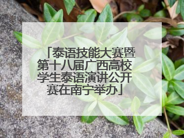 泰语技能大赛暨第十八届广西高校学生泰语演讲公开赛在南宁举办