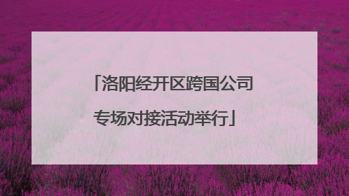 洛阳经开区跨国公司专场对接活动举行