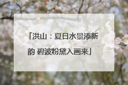 洪山：夏日水景添新韵 碧波粉黛入画来