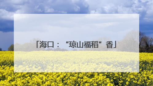 海口：“琼山福稻”香