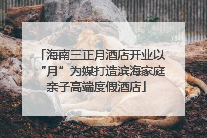 海南三正月酒店开业以“月”为媒打造滨海家庭亲子高端度假酒店