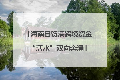 海南自贸港跨境资金“活水”双向奔涌
