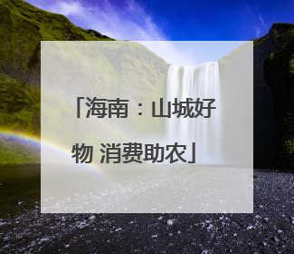 海南：山城好物 消费助农