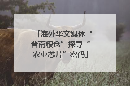海外华文媒体“晋南粮仓”探寻“农业芯片”密码