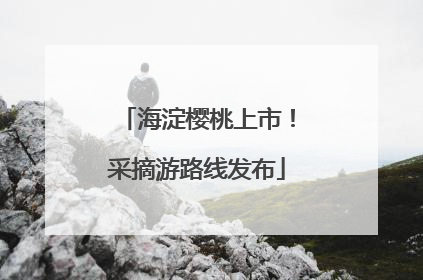 海淀樱桃上市！采摘游路线发布