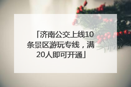济南公交上线10条景区游玩专线，满20人即可开通