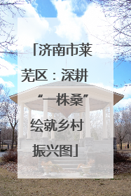济南市莱芜区：深耕“一株桑” 绘就乡村振兴图
